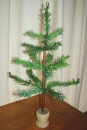 21feathertree2
