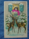 girlfeedingdeer1