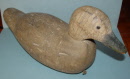masonduck1